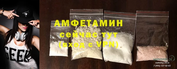 сатива Бронницы