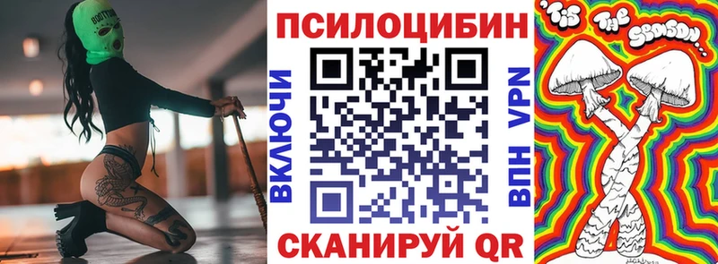 Купить где  Людиново  Псилоцибиновые грибы Psilocybe 